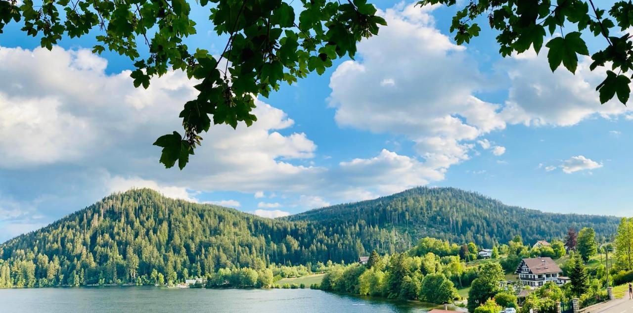 Le Chalet Au Bord Du Lac Жерарме Екстер'єр фото